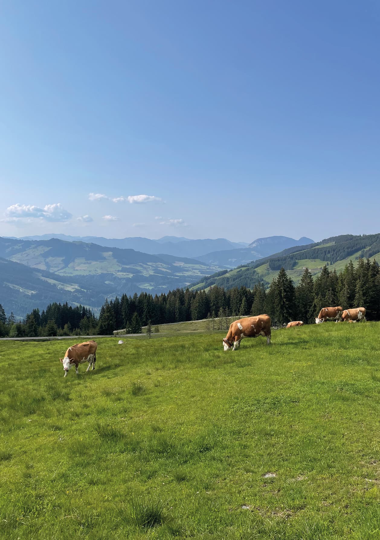 Notes from the field